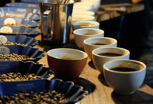 The World's Most Expensive Robusta